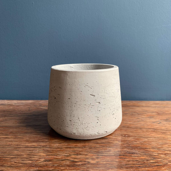 Chinese Money Plant Pot | Highgate Flowers