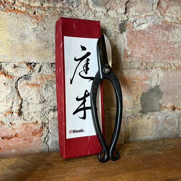 Sentei Ikebana